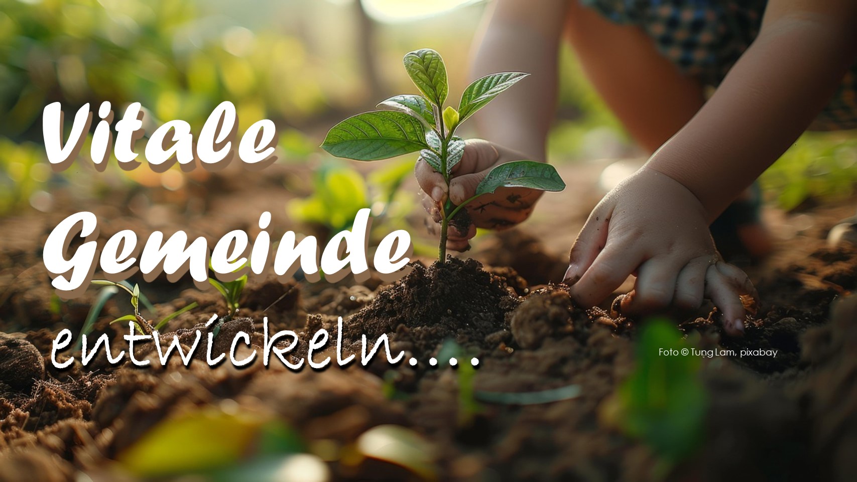 vitale Gemeinde entwickeln